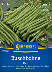 Buschbohnensamen Maxi