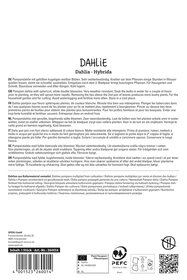 Dahlie Petra`s Wedding