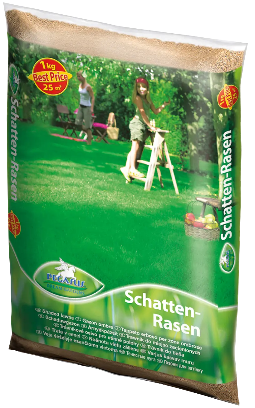 Schatten-Rasensamen, 1 kg