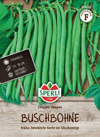 Buschbohnensamen Cropper Teepee