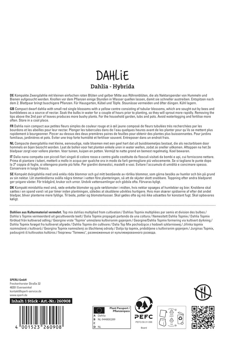 Dahlie Topmix Rood