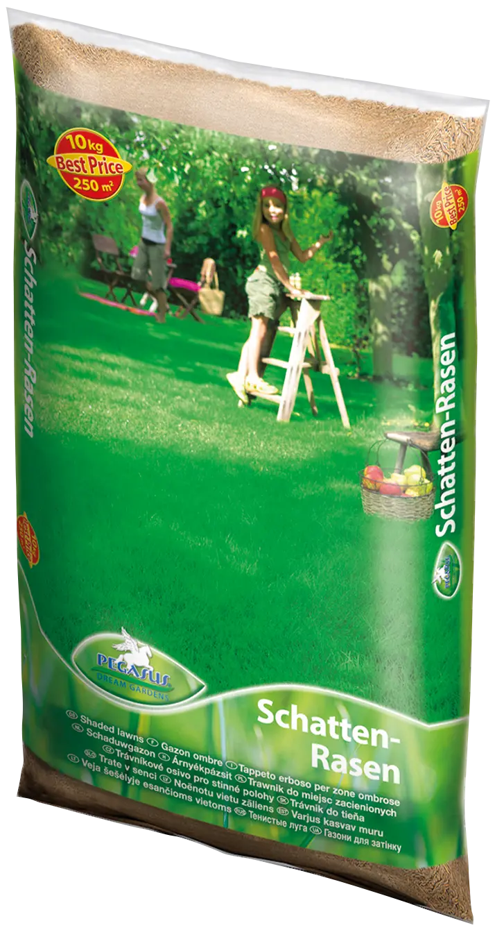Schatten-Rasensamen, 10 kg