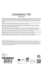 Steckzwiebel-Trio