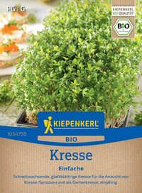 Frischer grüne Kressepflanze in Plastikschale, Verpackung mit Kiepenkerl Logo und Bio Etikett, Texthinweise auf schnelle, einfache Kultur.