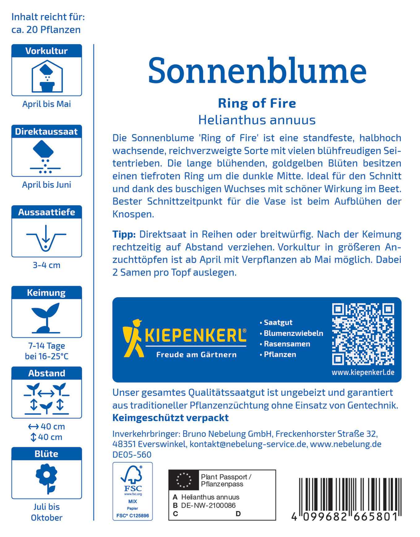 Sonnenblume mit goldgelben Blüten, dunklem Zentrum, ca. 40 cm hoch, Blütezeit Juli bis Oktober, standfest, winterhart