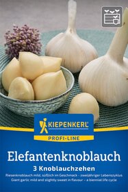 Elefantenknoblauch