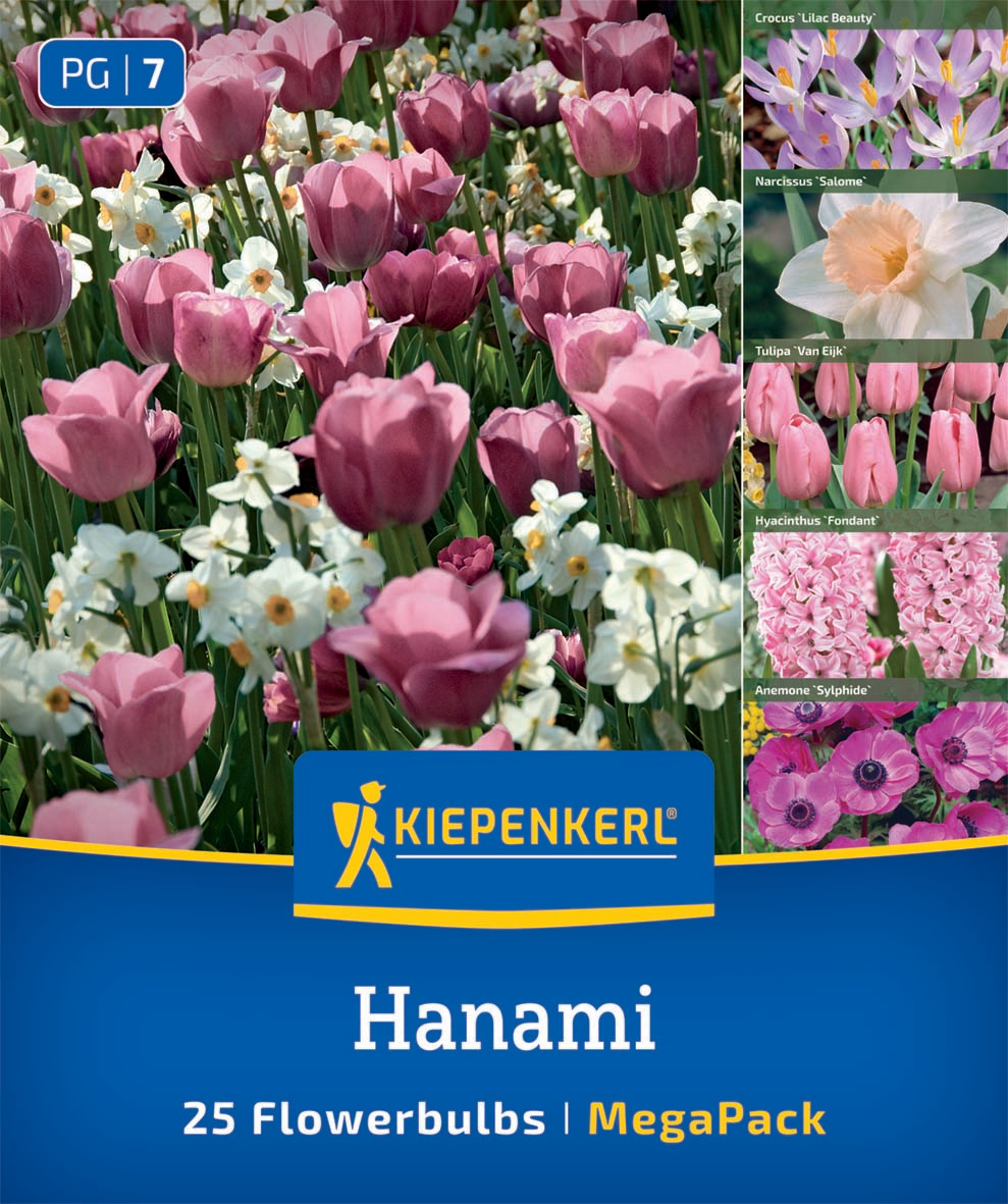 Mega-Pack Blumenzwiebelmischung Hanami Mix