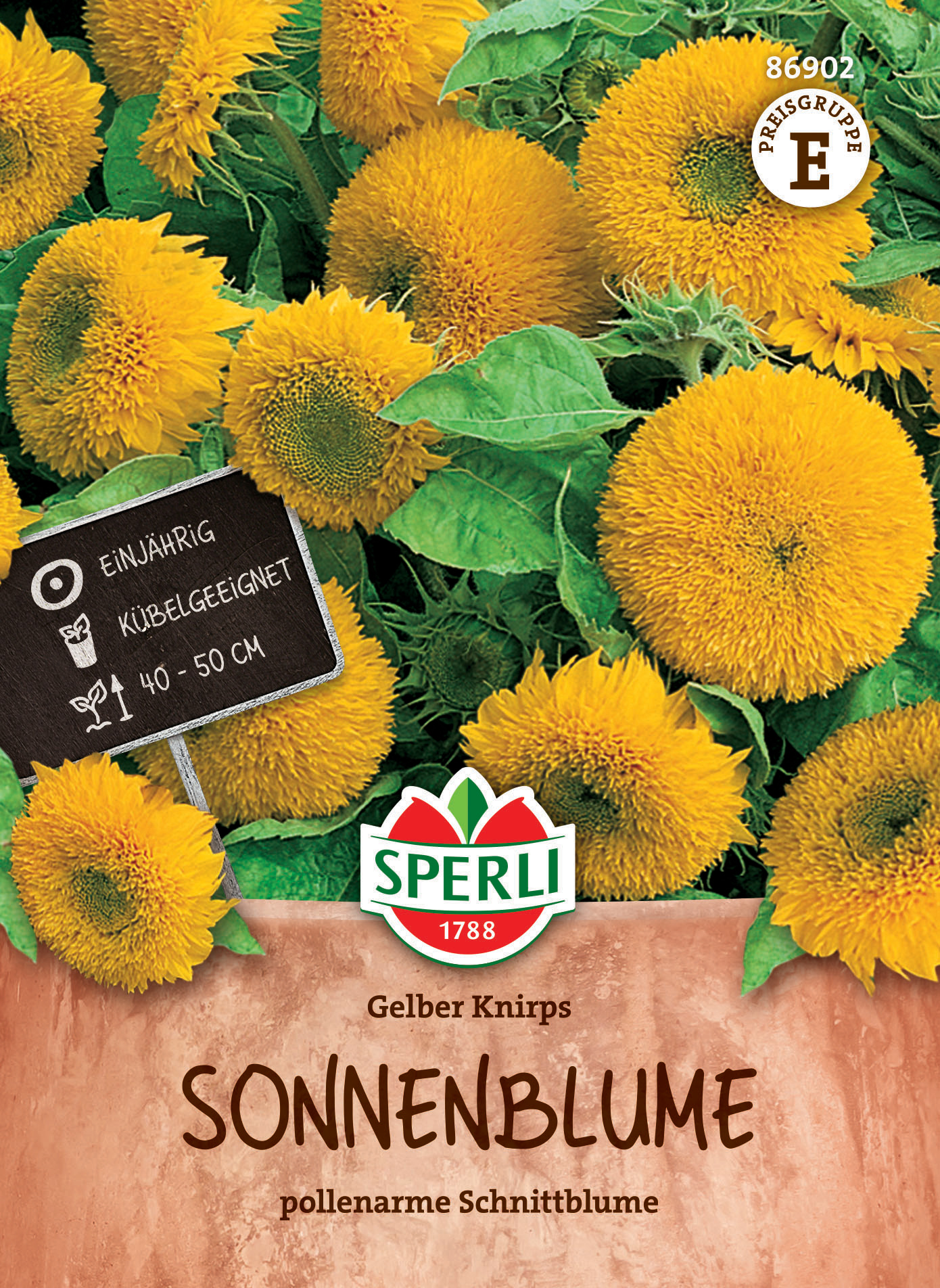 Sonnenblumensamen Gelber Knirps, F1