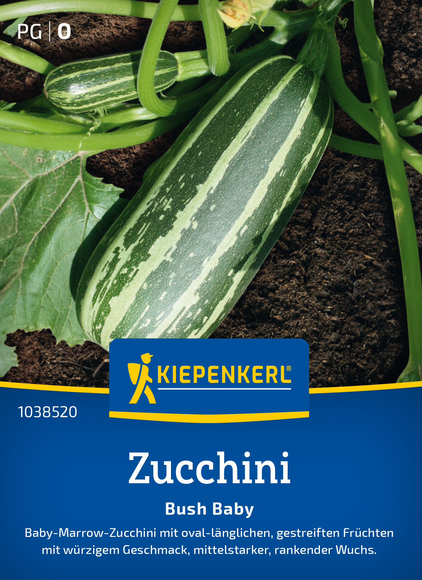 Zucchinisamen Bush Baby, F1