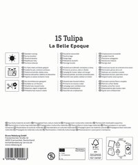 Mega-Pack Gefüllte Späte Tulpen La Belle Epoque