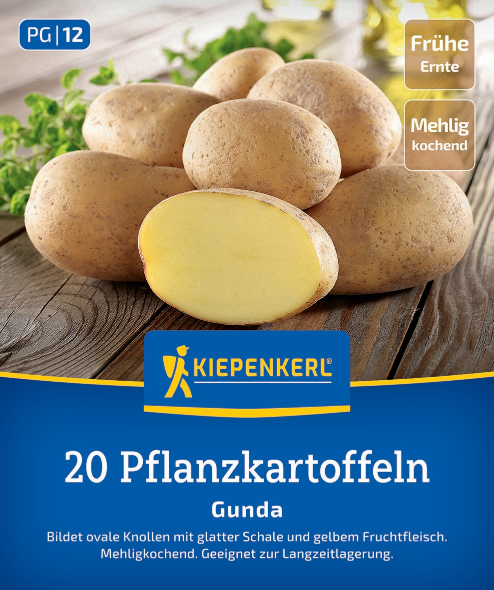 Hülsenfrüchte in ovaler Form mit glatter Schale und gelbem Fruchtfleisch, auf Holzunterlage, grüner Hintergrund.
