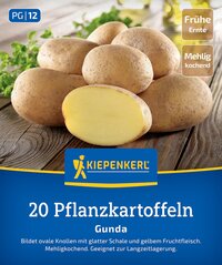 Hülsenfrüchte in ovaler Form mit glatter Schale und gelbem Fruchtfleisch, auf Holzunterlage, grüner Hintergrund.