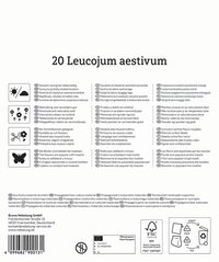 Mega-Pack Sommerknotenblumen