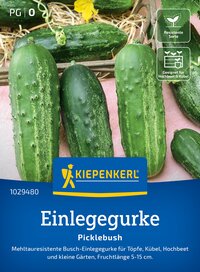 Verschiedene grüne Busch-Einlegegurken auf hellrosa Untergrund, mit Symbolen für resistenten Samen und geeignet für Hochbeet.