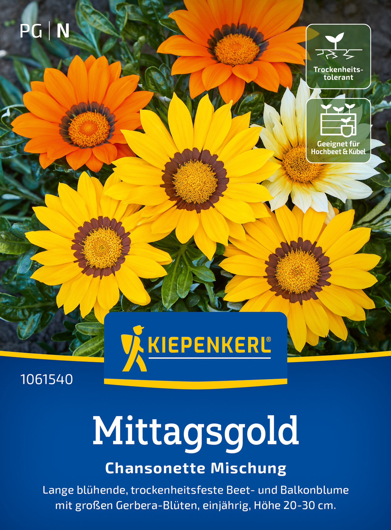 Mittagsgoldsamen Chansonette Mischung