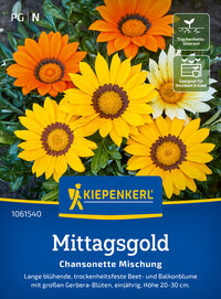Mittagsgoldsamen Chansonette Mischung