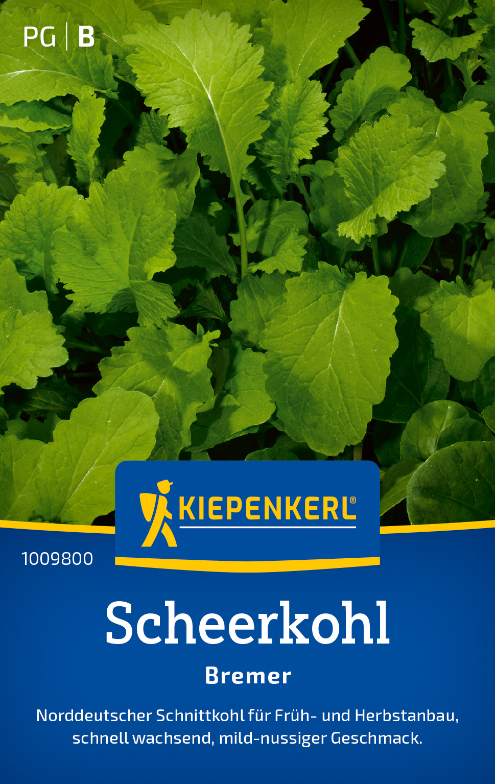 Scheerkohlsamen Licapo