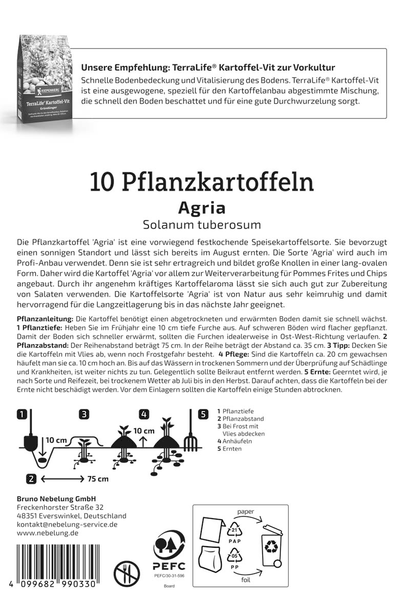 Pflanzkartoffel Agria, 10 Stück