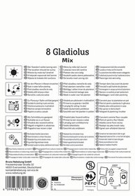 8 Gladiolus Mix Packung mit Pflanzanleitung und Symbolen für Pflanzung und Pflege.