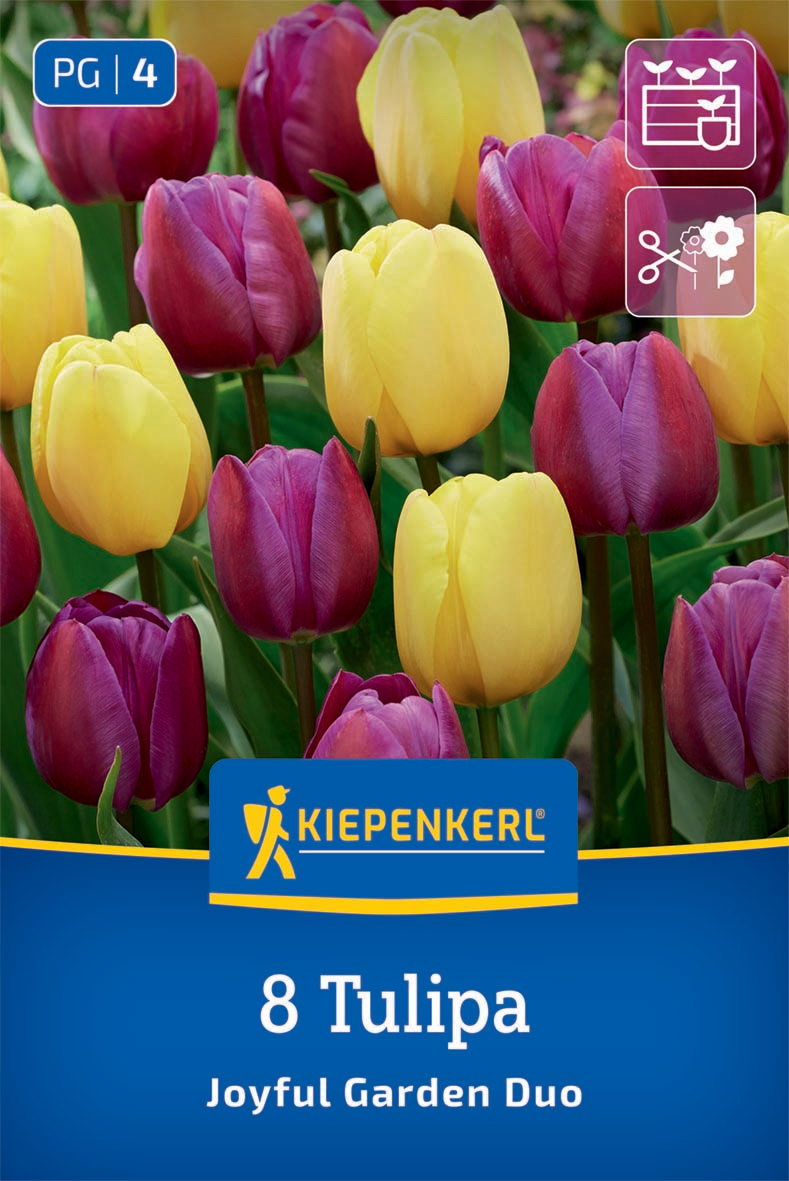 Tulpenmischung Joyful Garden