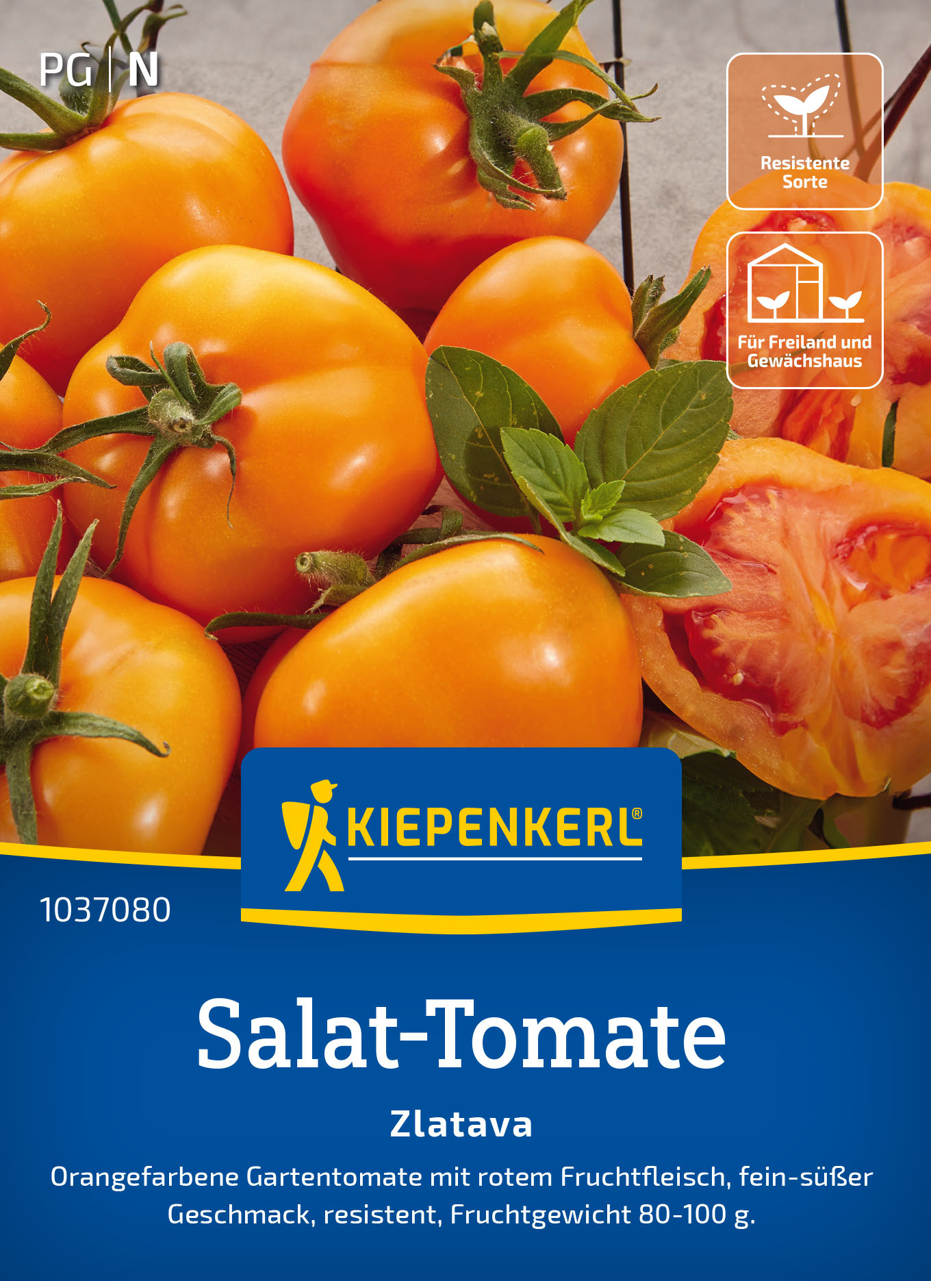 Salat-Tomatensamen Zlatava