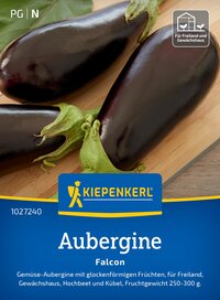 Drei dunkelviolette Auberginen mit grünen Stielen auf Holzuntergrund.