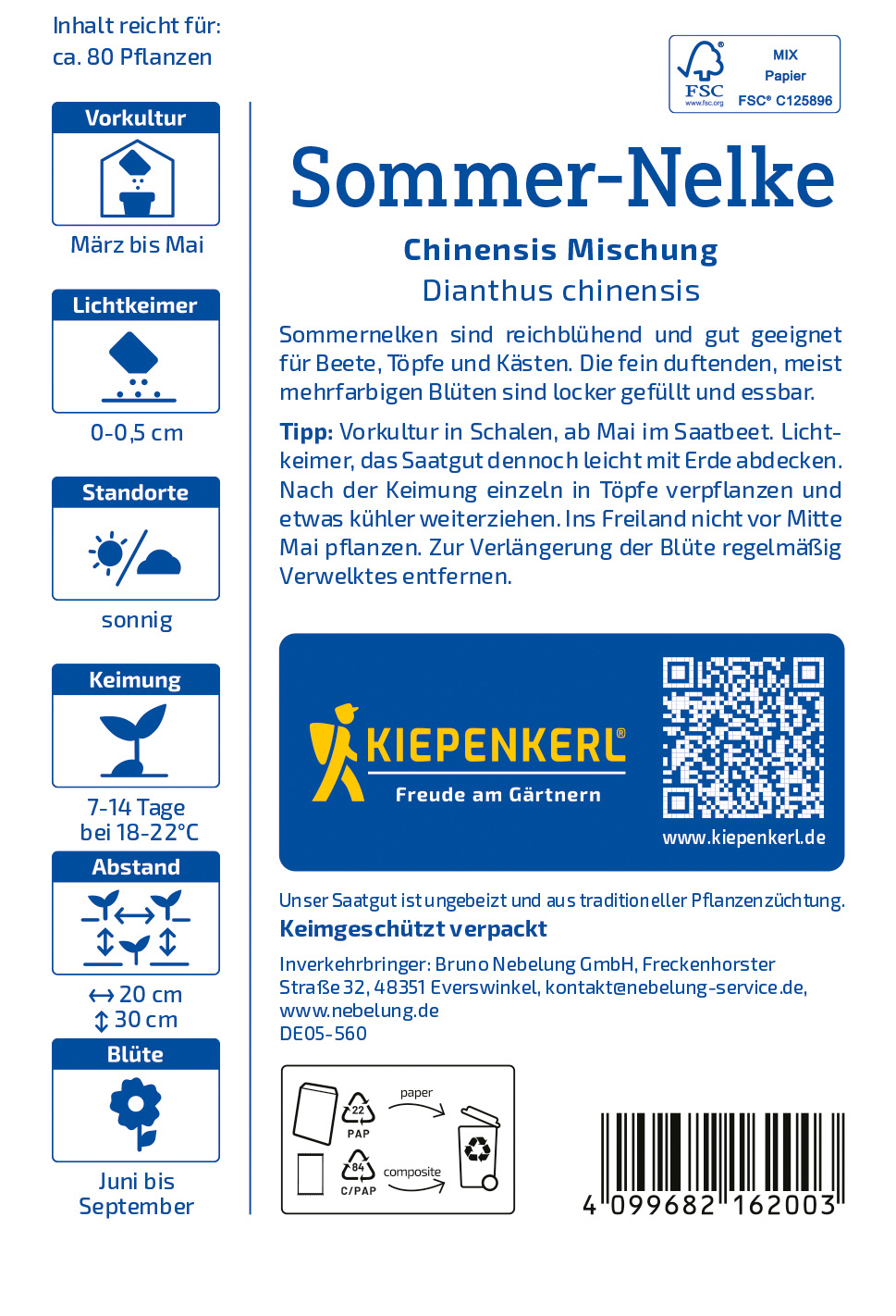 Sommer-Nelkensamen Chinensis Mischung