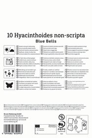 Hasenglöckchen Blue Bells