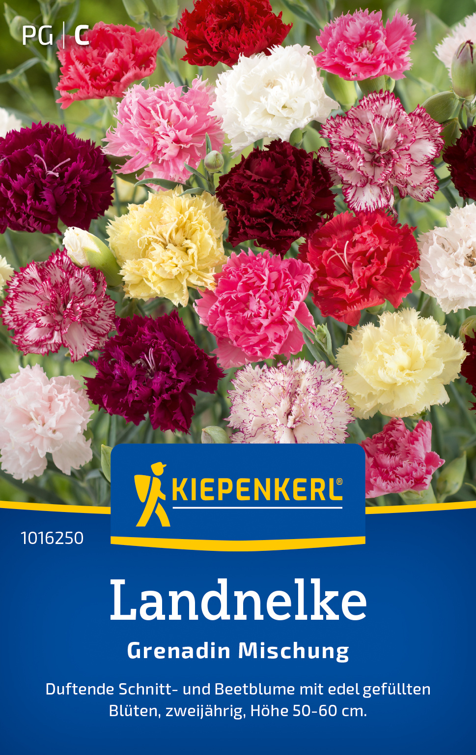 Landnelkensamen Grenadin Mischung
