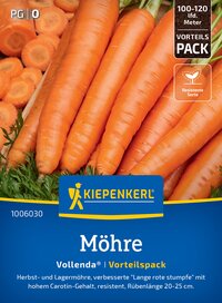 Inhaltsbild: Mehrere große, orange Möhren liegen nebeneinander, umgeben von grünen Blättern.
