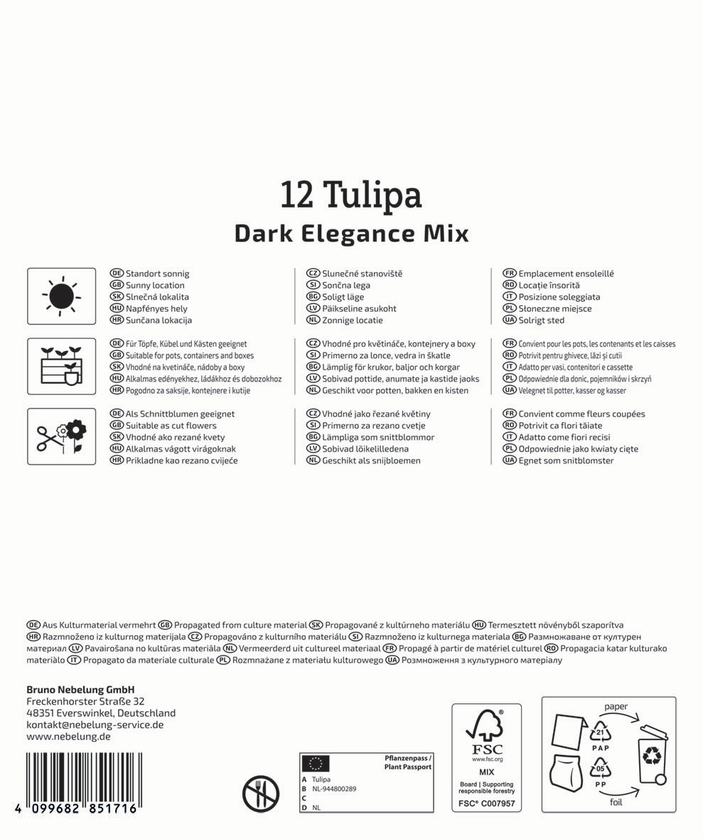 Mega-Pack Blumenzwiebelmischung Dark Elegance Mix