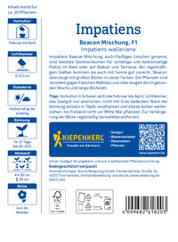 Impatienssamen Beacon Mischung, F1