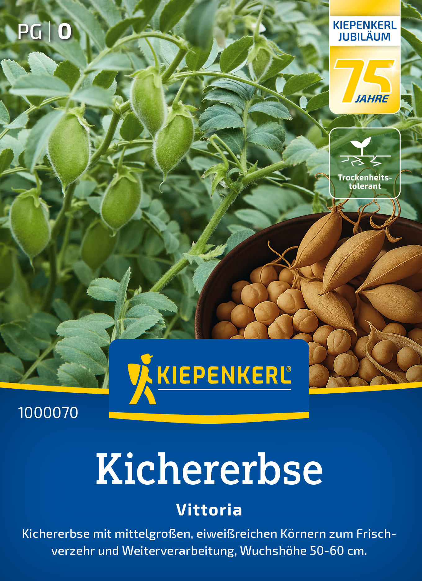 Kichererbsensamen Vittoria