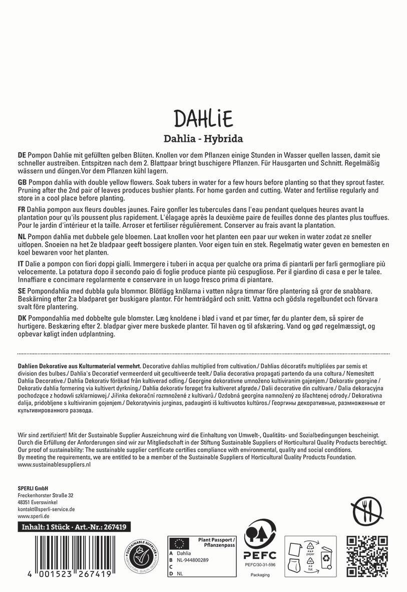 Text auf der Verpackung mit Beschreibung der Dahlie und Pflegehinweisen in mehreren Sprachen.