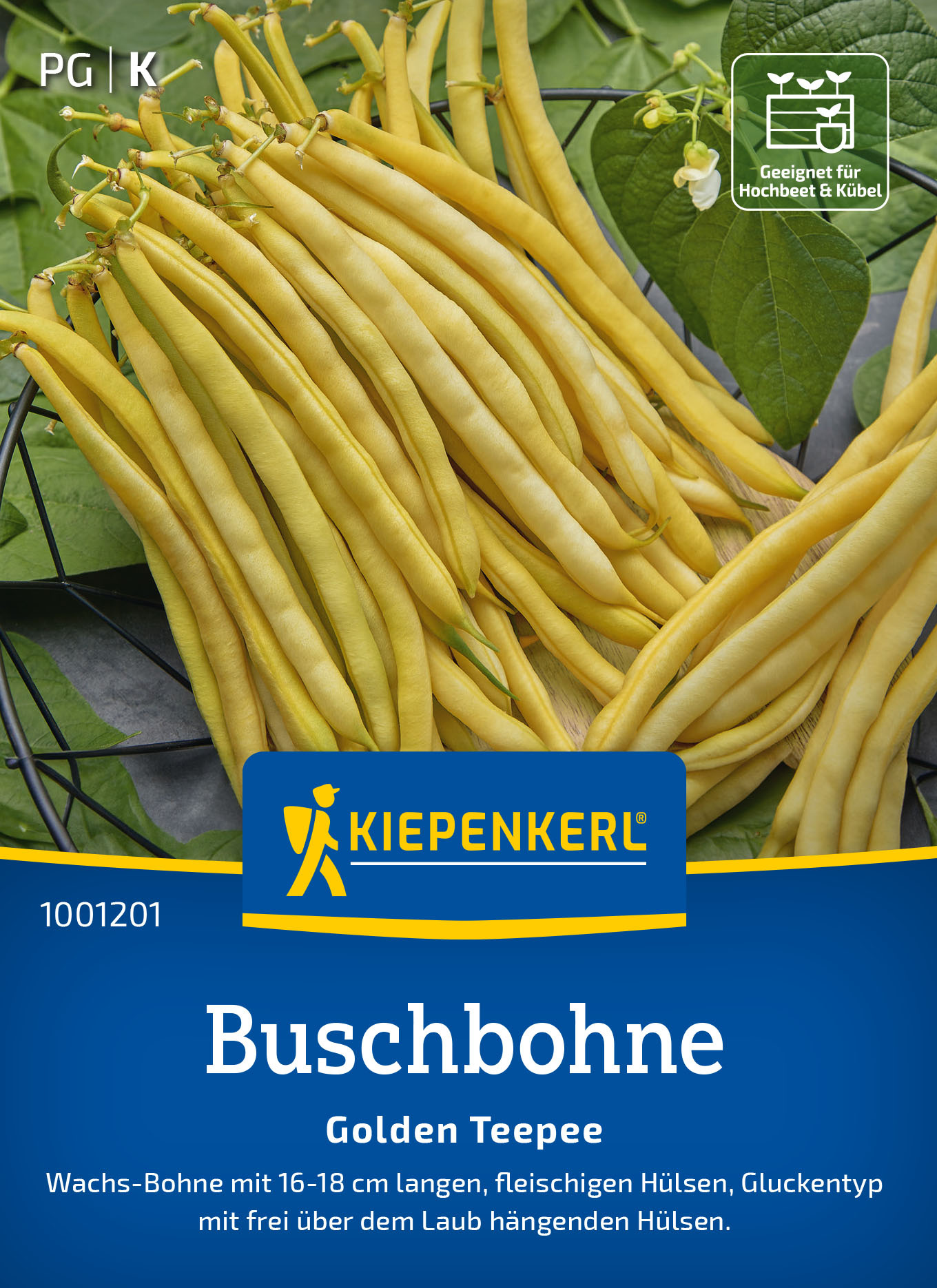 Buschbohnensamen Golden Teepee