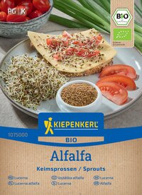 Gelbe Alfalfa-Sprossen, Tomatenscheiben, Käse mit Sprossen und Tomaten auf einem Teller.