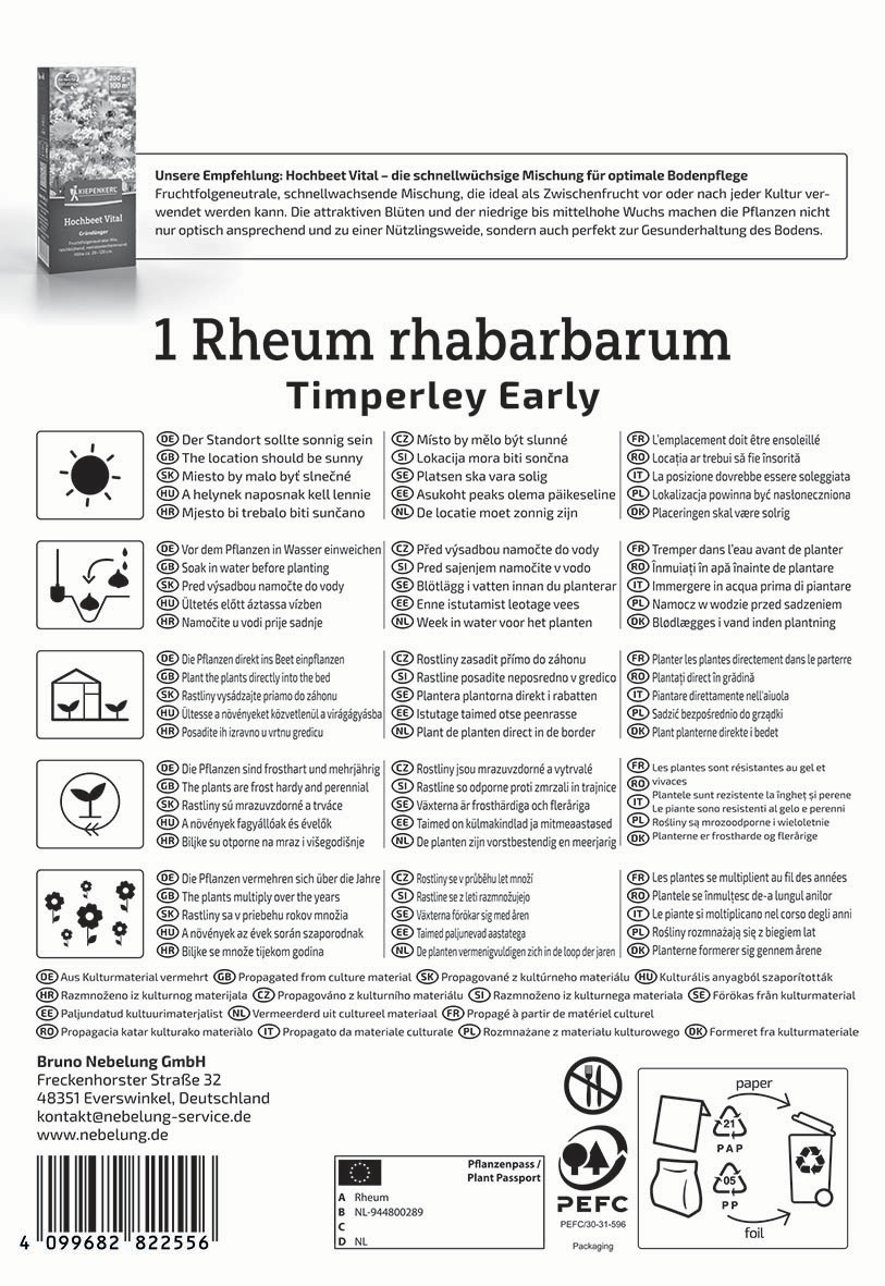 Samen von Rheum mit Pflanzenillustration, auf weißem Hintergrund mit Text in mehreren Sprachen und Pflanzanleitung.