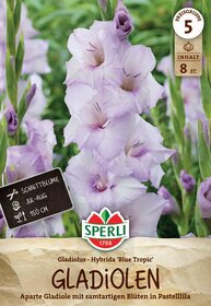 Hellviolette Gladiolen mit pastellfarbenen, zarten Blüten und grünen länglichen Blättern.