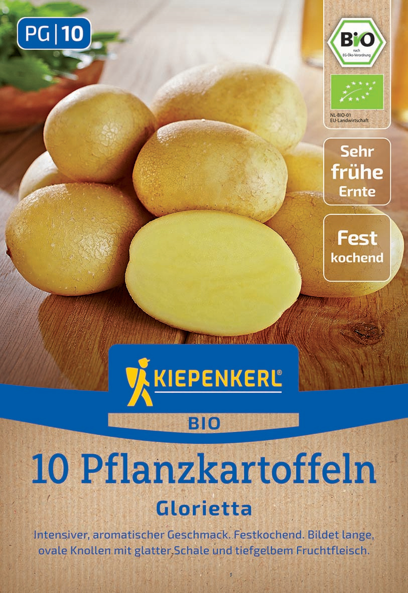 Mehrere gelbe Pflanzkartoffeln auf Holzplatte, eine halbe Kartoffel zeigt das Innere.