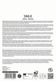 Auf dem Bild ist eine Verpackungsbeschreibung eines Dahlien-Pflanzenpasses mit verschiedenen Sprachversionen und Zertifizierungslogos zu sehen.