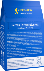 Blumenmischungsamen Peters Farbexplosion