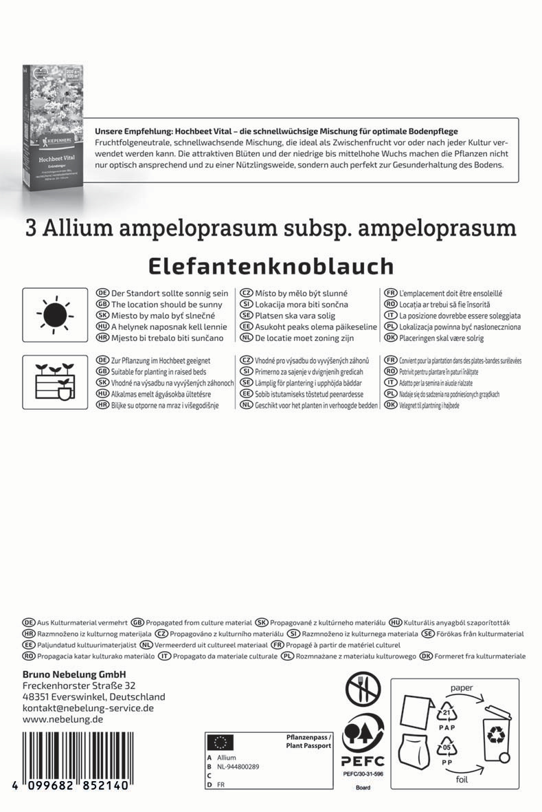 Elefantenknoblauch