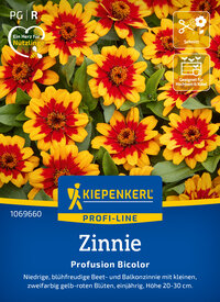 Gelbe und rot gestreifte Zinnien mit grünen Blättern auf der Packung.