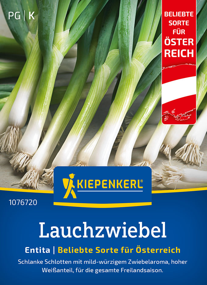 Lauchzwiebelsamen Entita