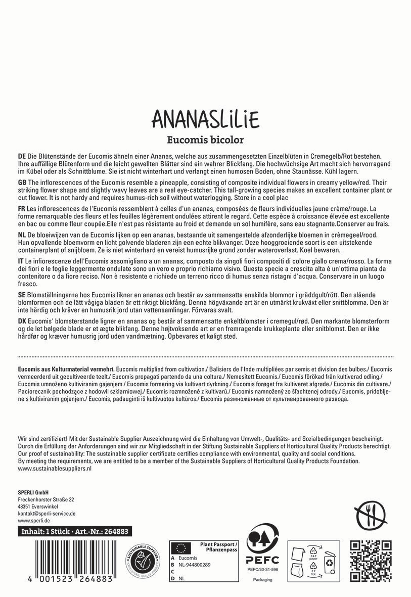 Text with descriptions of Eucomis bicolor representing an ananas, in multiple languages, with additional product information.