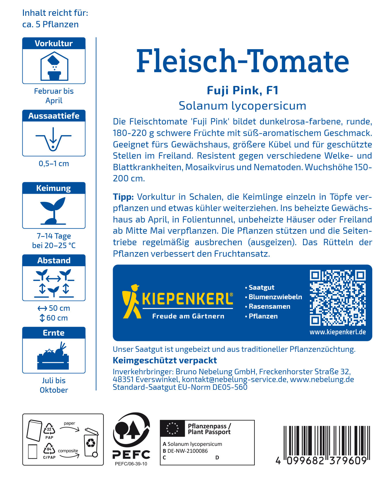 Fleisch-Tomatensamen Fuji Pink, F1