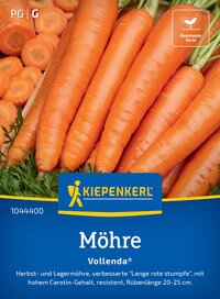 Bündel orange Karotten mit grünen Blättern neben einer geöffneten Packung mit ähnlichen Möhren.