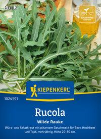 Rucolasamen Wilde Rauke