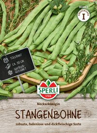 Stangenbohnensamen Neckarkönigin