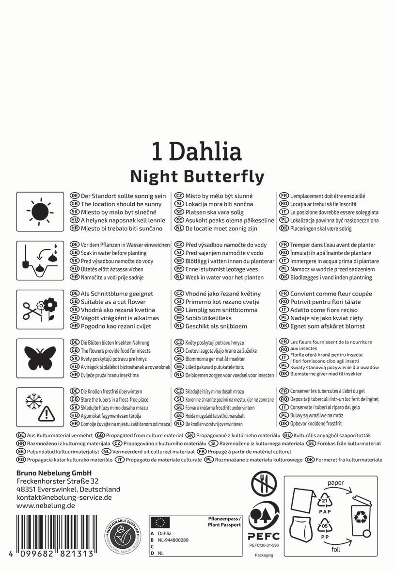 Dahlia Night Butterfly Pflanzpapier mit Pflegehinweisen, Symbole, Adresse und Logo im unteren Bereich
